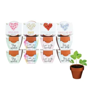 Mini Grow Pots Flower Plant Starter Kit