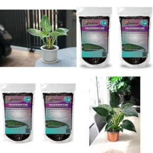 Potting Mix for Philodendron - 10 Quarts