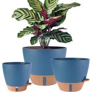 12/10/8 inch Plant Pots,