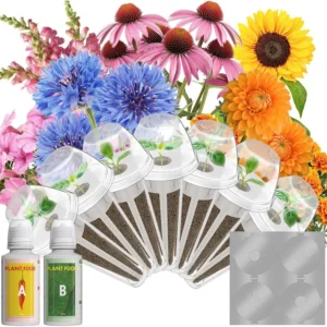 Indoor Hydroponic  Dwarf Sunflower, Marigold, Dahlia, Petunia Seeds